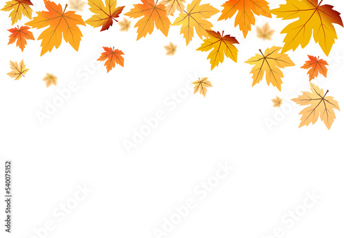 Autumn foliage PNG. on isolated transparent background. Abstract wallpaper design with maple leaves, line art. Elegant botanical in fall season .