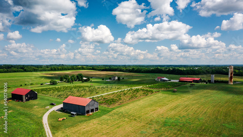 Rural Kentucky Winery