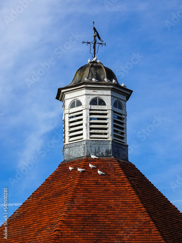 roof of a dovecote with white doves