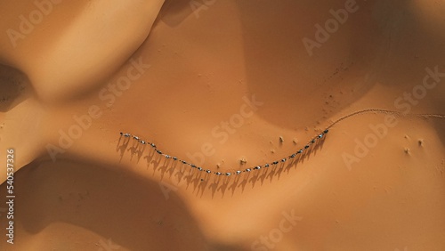 Aerial shot of a camel caravan moving in a desert