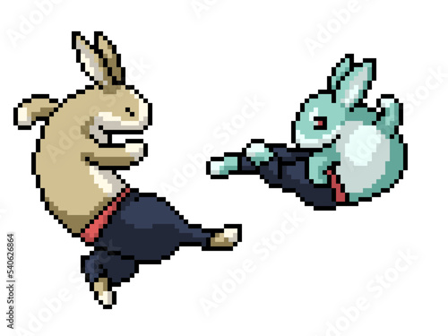 pixel art kung fu rabbit