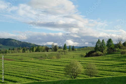 Widok na zielone pastwiska w Pieninach.