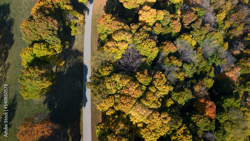 Aerial overhead view of a forest path