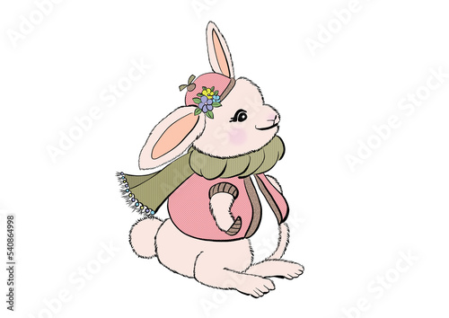 ウサギが洋服を着ているカラーイラスト