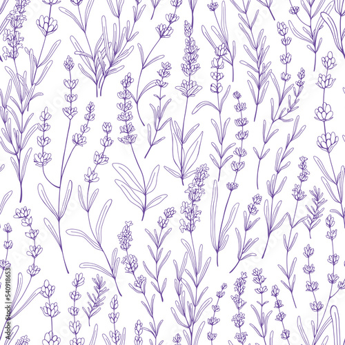Seamless floral pattern with purple lavender. Botanical background, French violet flowers repeating print. Blossomed herbs texture design with Provence lavanda blooms. Hand-drawn vector illustration