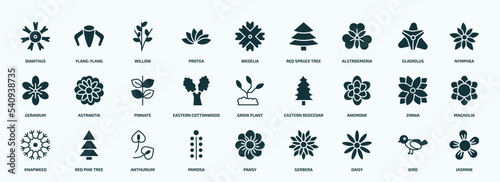 flat filled nature icons set. glyph icons such as dianthus, protea, alstroemeria, geranium, eastern cottonwood tree, anemone, knapweed, mimosa, daisy, bird icons.