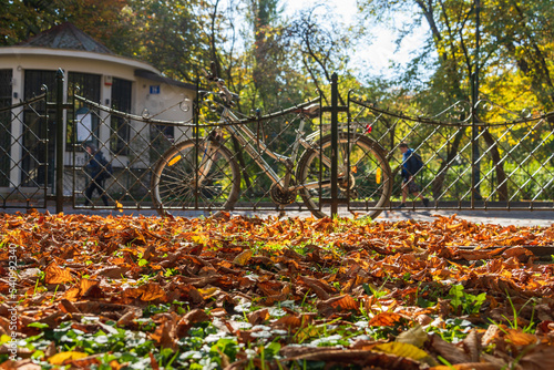 Behind the fallen autumn leaves in the park near the metal fence there is a bicycle, backlight sunlight, autumn on the city street, background image