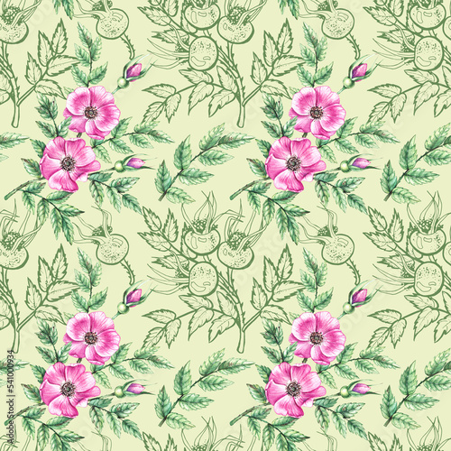 Watercolor Rosehip pattern