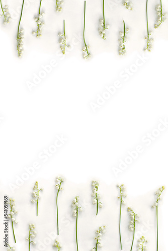 White flowers Lily of the valley ( Convallaria majalis, May bells, may-lily ) on a white background with space for text. Top view, flat lay
