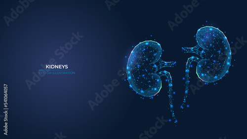 Futuristic abstract symbol of the human kidney. Concept treatment of pyelonephritis and urolithiasis. Low poly geometric 3d wallpaper background vector illustration.