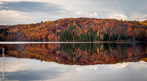 Algonquin Provincial Park, Canada with reflections of autumn trees in a lake