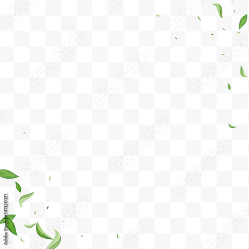 Green Greens Forest Vector Transparent Background