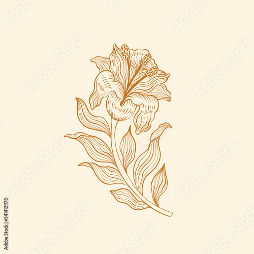 Flower lily line hand drawn style. One object vintage design. Elegant plant William Moriss drawing style.