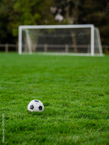 Classic soccer of football ball on the dark green grass field in focus. Goal post out of focus in the background. World wide popular sport activity.