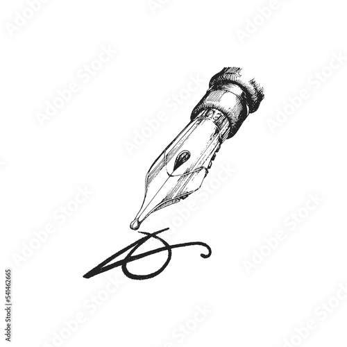 Pen nib, hand drawn illustration in vector