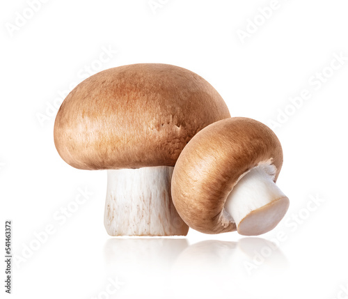 Two Royal Brown champignons close-up isolated on a white background