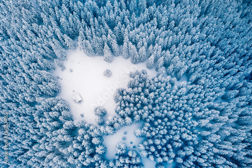 Aerial drone top down fly over winter spruce and pine forest with wooden cabin. Fir trees in mountains valley covered with snow. Landscape photography