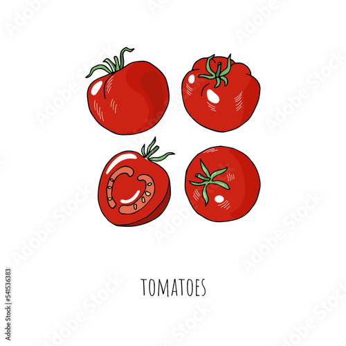 Mediterranean diet foods sketch tomatoes isolated on white background