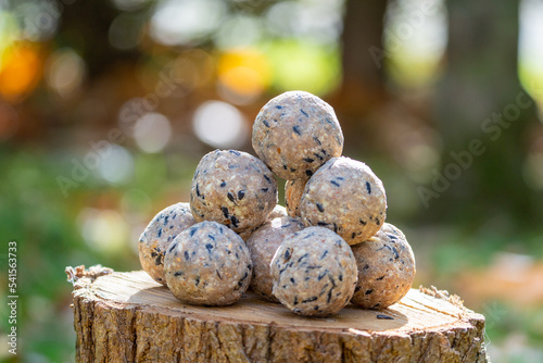 Suet balls on a wooden log, food for garden birds