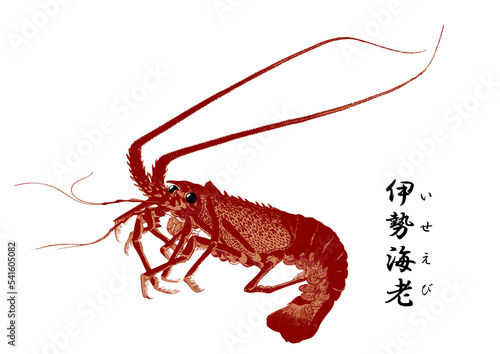 spiny lobster, png, food, seafood, eating and drinking, restaurants,伊勢海老, 浮世絵,錦絵,日本画,食材,食べ物,シーフード,居酒屋,飲食,飲食店,刺身,寿司,魚料理