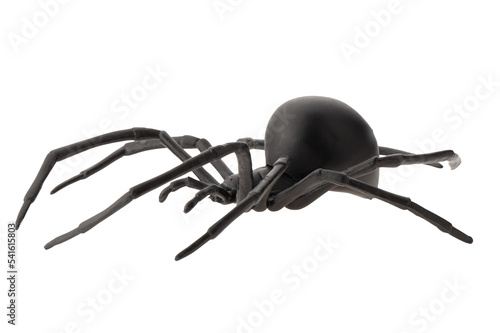 Fake rubber spider toy isolated over a white background. black spider toy isolated on a transparent background. Comic horror for Halloween.