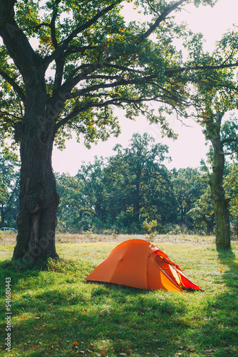 Orange tent for camping and hiking, forest camping, green lawn