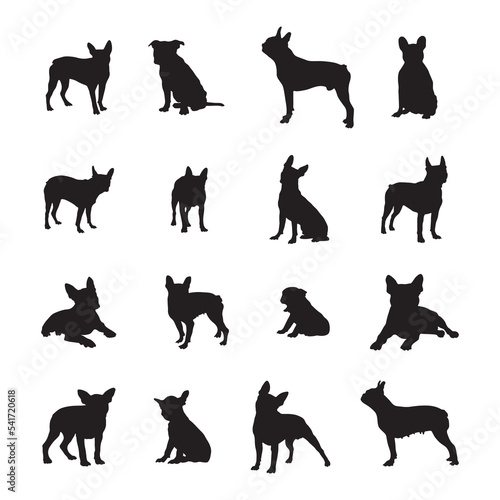 Boston terrier dog silhouettes, Dog silhouette collection.