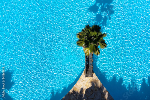 Swimming pool drone shot with palm tree
