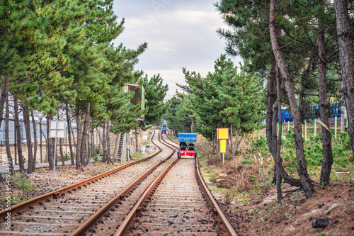 Activity of ocean rail bike on railway running through tree tunnel by the sea