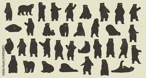 american black bear cute collection 1