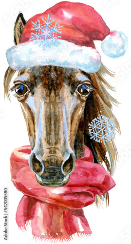 Portrait of a horse in a Santa Claus hat with a red scarf