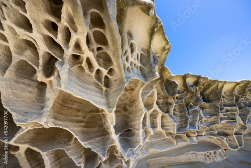 Sandstone weathering at Malabar National Park, Sydney Australia