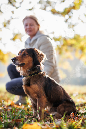 Woman with her dog relaxing in autumn park. Small mixed breed dog