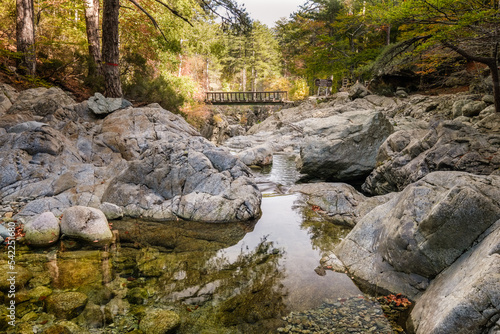 L'Agnone river passes over rocks into natural pools and under a wooden bridge in the forest of Vizzavona alongside the GR20 trail in Corsica