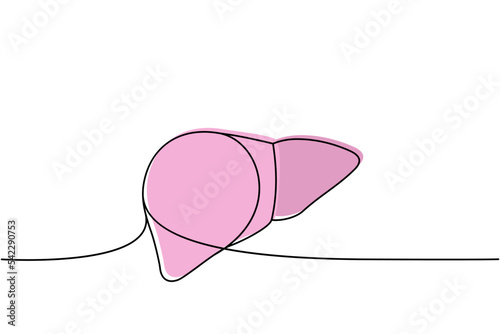 Human liver one line colored continuous drawing. Human organ continuous colorful one line illustration. Vector minimalist linear illustration.