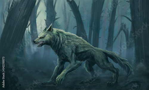 hombre lobo en el bosque a la medianoche