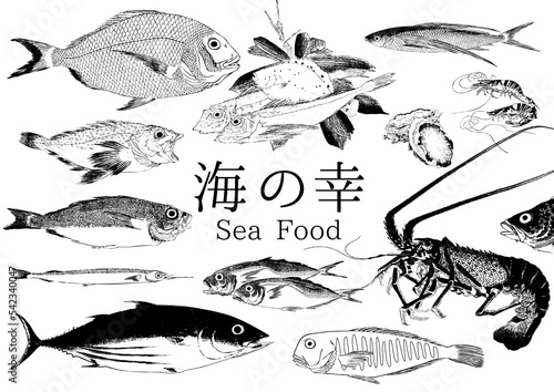 sea food fish 海の幸 海鮮 鮮魚 鯛 伊勢海老 鯵 鰹 金目鯛 飛魚 笠子 鮑 車海老 魚