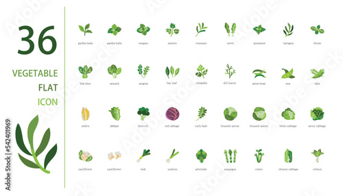 Vector vegetables icon set. Includes Brassica oleracea and other icons.
