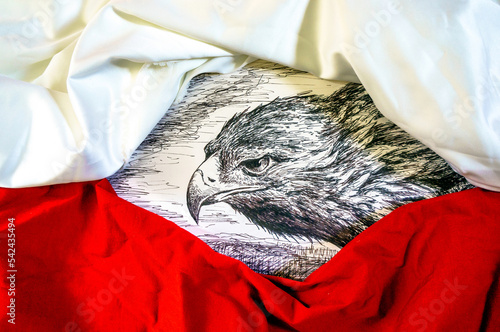Rysunek orła między białą i czerwoną tkaniną. Symbol Polski. 