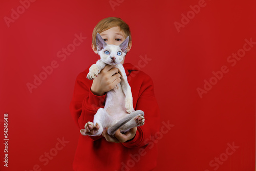 in the hands of the boy is a small white kitten with blue eyes that looks around