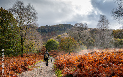 Autumn in the Lake District National Park Cumbria UK