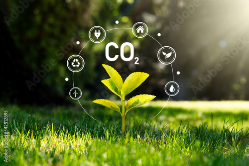 Carbon dioxide emissions, carbon footprint concept