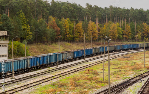 Wagony pociągu towarowego stojące na bocznym torze w lesie wśród jesieni .Niebieski pociąg do przewozu towarów sypkich .