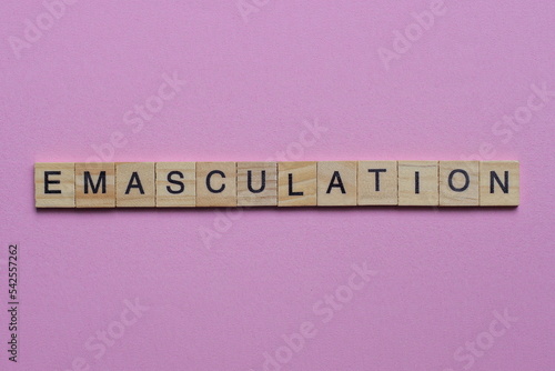 word emasculation from small gray wooden letters lies on a pink background