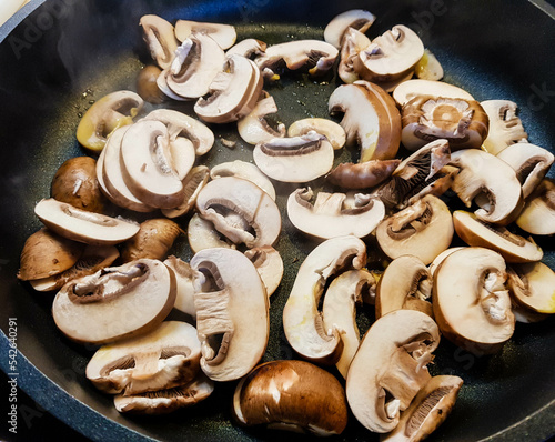 Frische Pilze aus einem Wald in der Nähe von Hamburg