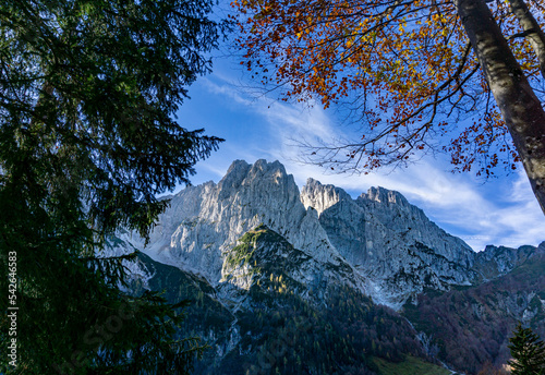 Wandern in Tirol Nähe Walchsee: Die Berge vom Wilden Kaiser - Natur pur, schroffe 2000er