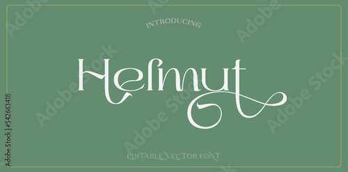 Helmut classic alphabet letters font template on green background. Typography elegant wedding lettering serif fonts decorative vintage retro concept. vector illustration