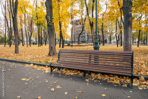 Street bench in autumn golden park alley background. Modern recreation area in Kharkiv, Ukraine