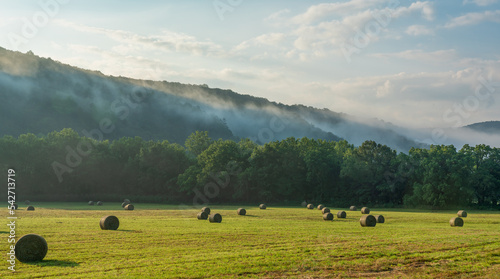 Early morning fog at the farm on a drive through the Arkansas Ozark Mountains