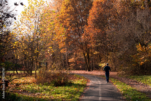 Park Śląski w Katowicach. Mężczyzna biegnący jesienną aleją.